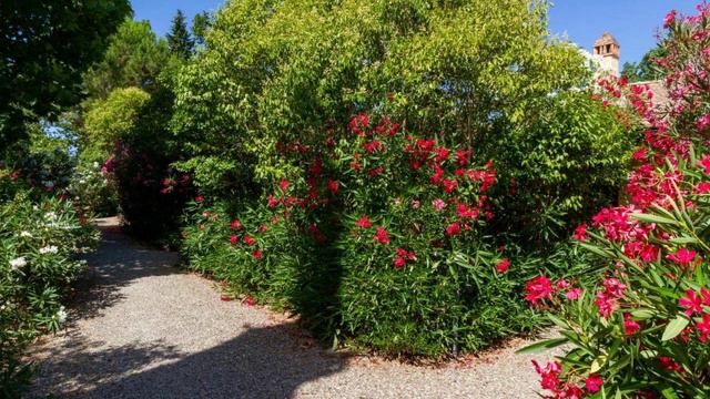 Bilo Camelia, Marina di Grosseto, Italy смотреть онлайн