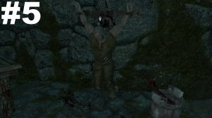 ▶The Elder Scrolls V: Skyrim. Без вести пропавший. Освободить Торальда из плена(Финал). #5