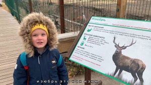 Поездка в Зоопитомника «Амодово».