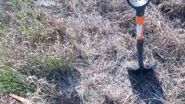 Поиск монет с SOREX PRO (ЧУГУНОК) смотреть онлайн