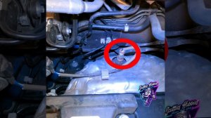 Nissan Sentra Oxygen Sensor Location and Info. 2020 2021 2022 2023