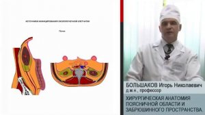Большаков И. Н. Хирургическая анатомия поясничной области и забрюшинного пространства.