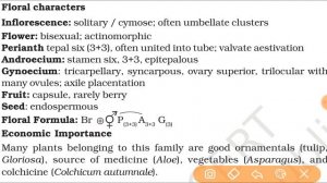 SOLANACEAE FAMILY, LILIACEAE FAMILY FULL MORPHOLOGY OF FLOWERING PLANTS CHAPTER NCERT BIOLOGY CLASS