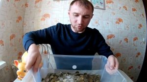 #копилка #деньги #разбилкопилку Открыл копилку спустя два года.Сколько денег в свинье?