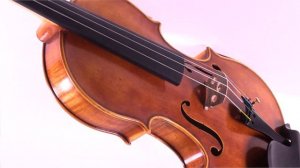 Nicolo Gabrieli Virtuoso 87FD Violin