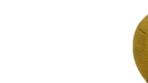 Little ANNOYING ORANGE vs. ANGRY BIRDS & The Plush Orange Bird