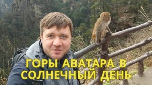 Горы Аватара (Чжанцзяцзе) в хорошую погоду: обезьяны, горы, счастливые туристы