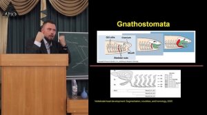 Павел Скучас| "Кость и челюсти: начало «гонки вооружений» у позвоночных."
