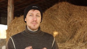 Мухи, комары, мошкара. Защищаем лошадь летом