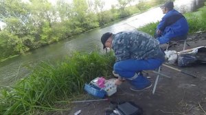 **Дикий клёв подуста на фидер**The wild bite of a Podust feeder**