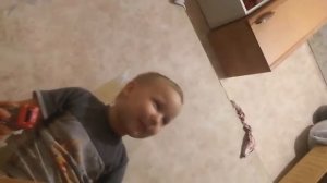 Песня про бебру