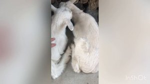 Хватит спать! Подъём!