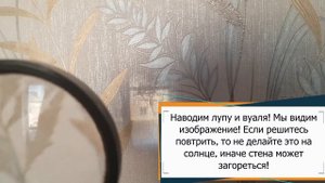 Эксперимент: Проектор из лупы!