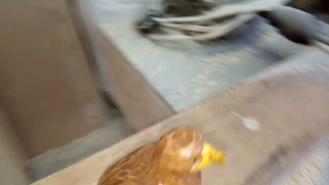 Резьба по дереву, вырезал орла из липы. Wood carving смотреть онлайн