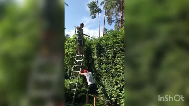 Работаю садовником - Стрижка живой изгороди 2021 и пёс Чарли смотреть онлайн