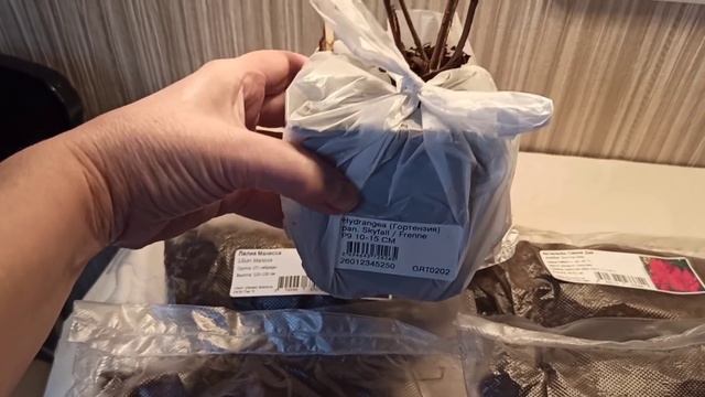 Розы Остина(Италия, Голландия) оригиналы или нет?! Мой очередной заказ в "Подворье".