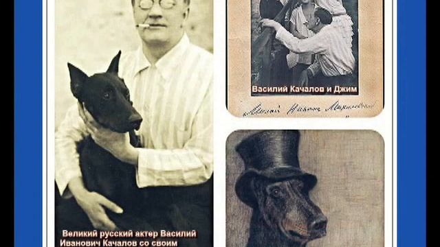 Сергей Есенин "СОБАКЕ КАЧАЛОВА" Читает Владимир Ионченков