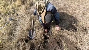 Железный коп в поле, находки есть. Коп с МД 4030р и Фортуна М2.