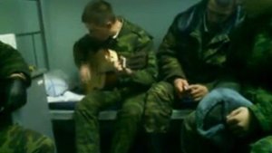Братство Кавказа Дикая дивизия 29760