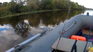 Рыбалка Разнежье 2017