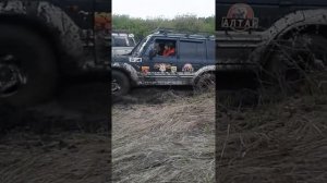 Сафари против Comforser