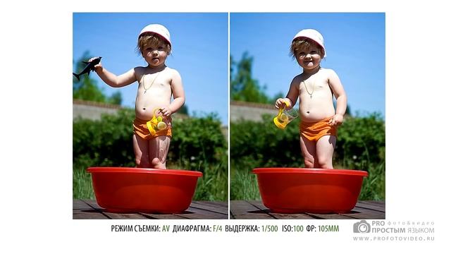 Курс фотографии - Как настроить фотоаппарат