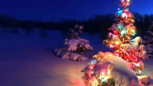 Рождество 25 декабря - Католическое рождество.  Приметы традиции и история праздника.