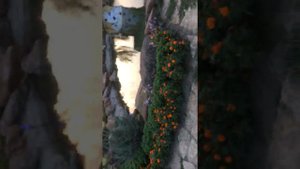 База отдыха «янтарное», Кизилюрт, Дагестан.