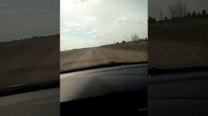 Дорога от Мирного до Павловки Угловский район Алтайский край.