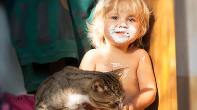 #Котята и ребята       #видеомонтаж #видеореклама #видеоназаказ