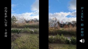Oneplus 12R VS Pixel 8 Pro Camera Comparison