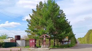 Магнитогорск, садовое товарищество Строитель-6, пруд Анопинский высыхает (26.05.2022)