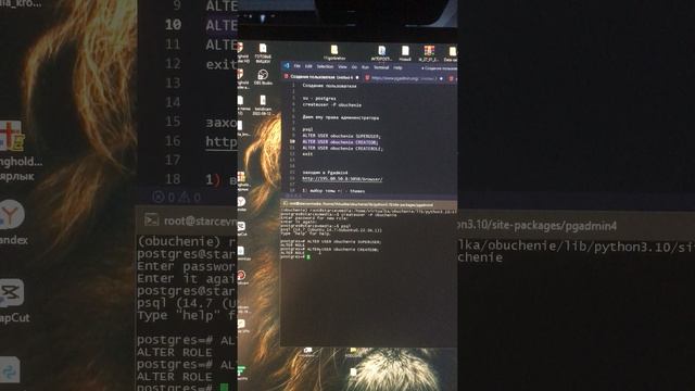 №10.2 Настройка PgAdmin4,создание пользователя, базы данных, подключение для Django, Python