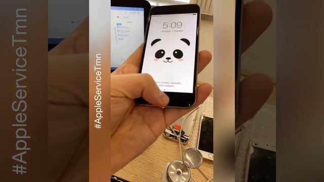 Замена стекла IPhone 6 в Тюмени смотреть онлайн