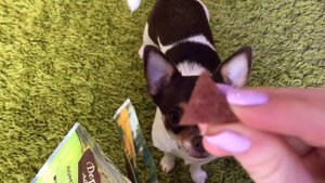 Все Лакомства моих собак ??? вторая часть ❤️❤️❤️❤️