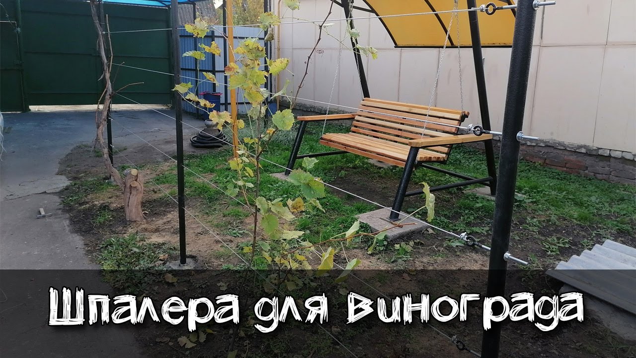 Простая шпалера для винограда своими руками