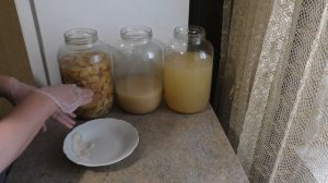 ?ЯБЛОЧНЫЙ Уксус?Что делать с ГРИБ-МАТКОЙ как еще Использовать  ..??