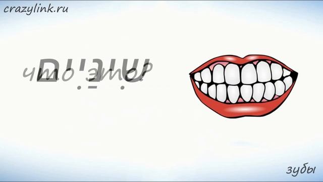 Части лица на иврите (часть 2). Запоминаем части лица на иврите смотреть онлайн