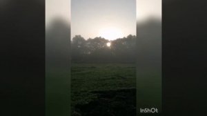 Вопросы по плугу. Трактор Т-40 с плугом.