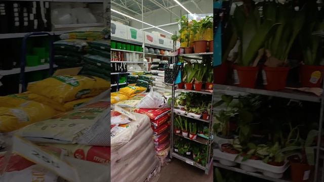 Леруа Климовск.Краткий обзор растений, удобрений, земли. смотреть онлайн