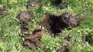 Поиск с металлоискателем whites coinmaster. Заброшенный посёлок. Оренбург