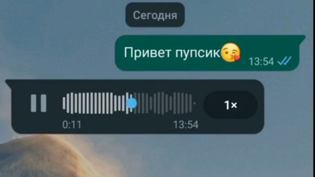 Максим, привет, это Степина мама, это что значит пупсик