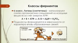 Лекция 2 ФЕРМЕНТЫ (Часть 1)