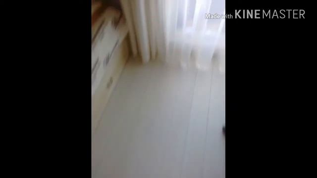 Это найнбот мини! Он подключается к телефону и меняется подцветкаи см возвращается домой!!! смотреть онлайн