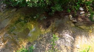 ОТДЫХ В КАБАРДИНКЕ / КАБАРДИНКА 2021/ СУХОГРУЗ РИО/ ОТДЫХ В КАБАРДИНКЕ  2021