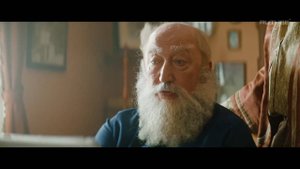 Софья Толстая ищет стенографистку для мужа