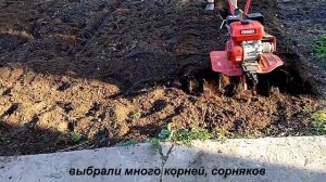 Перепахиваем заброшенную дачу, простоявшую 10 лет!!!