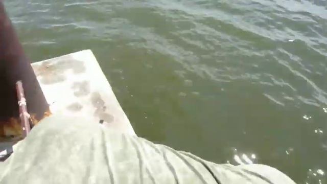 ЧУТЬ НЕ УПАЛ С ДАМБЫ!!!VLOG С ДРУГОМ НА ДАЧЕ!! смотреть онлайн