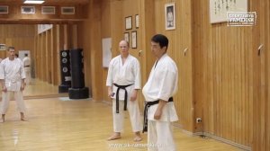 Каратэ Уроки Олега Цоя  Разница между натяжением и напряжением в каратэ