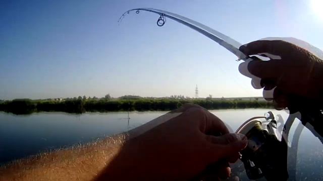 Ловля щуки. Река Ингул. Рыбалка в жару. Отчёт 4.08.2017 смотреть онлайн